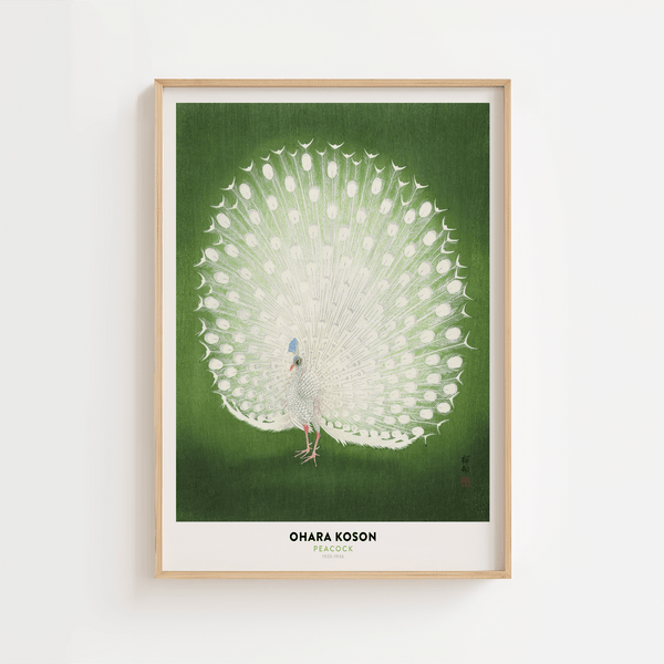 Ohara Koson Peacock Plakat 